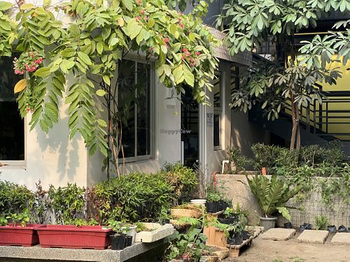 Ani Cafe exterior with flowering vines and potted plants along the garden path